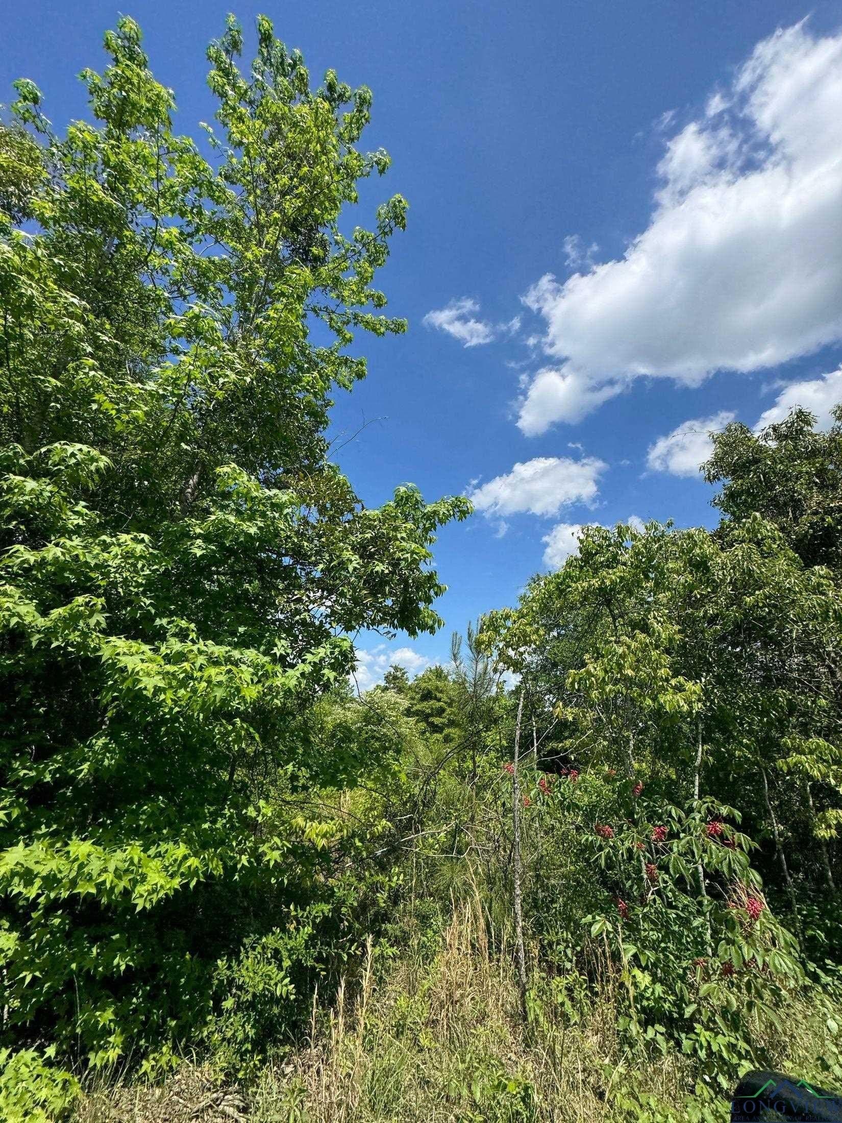 8.24 acres in Cass County - photo 15