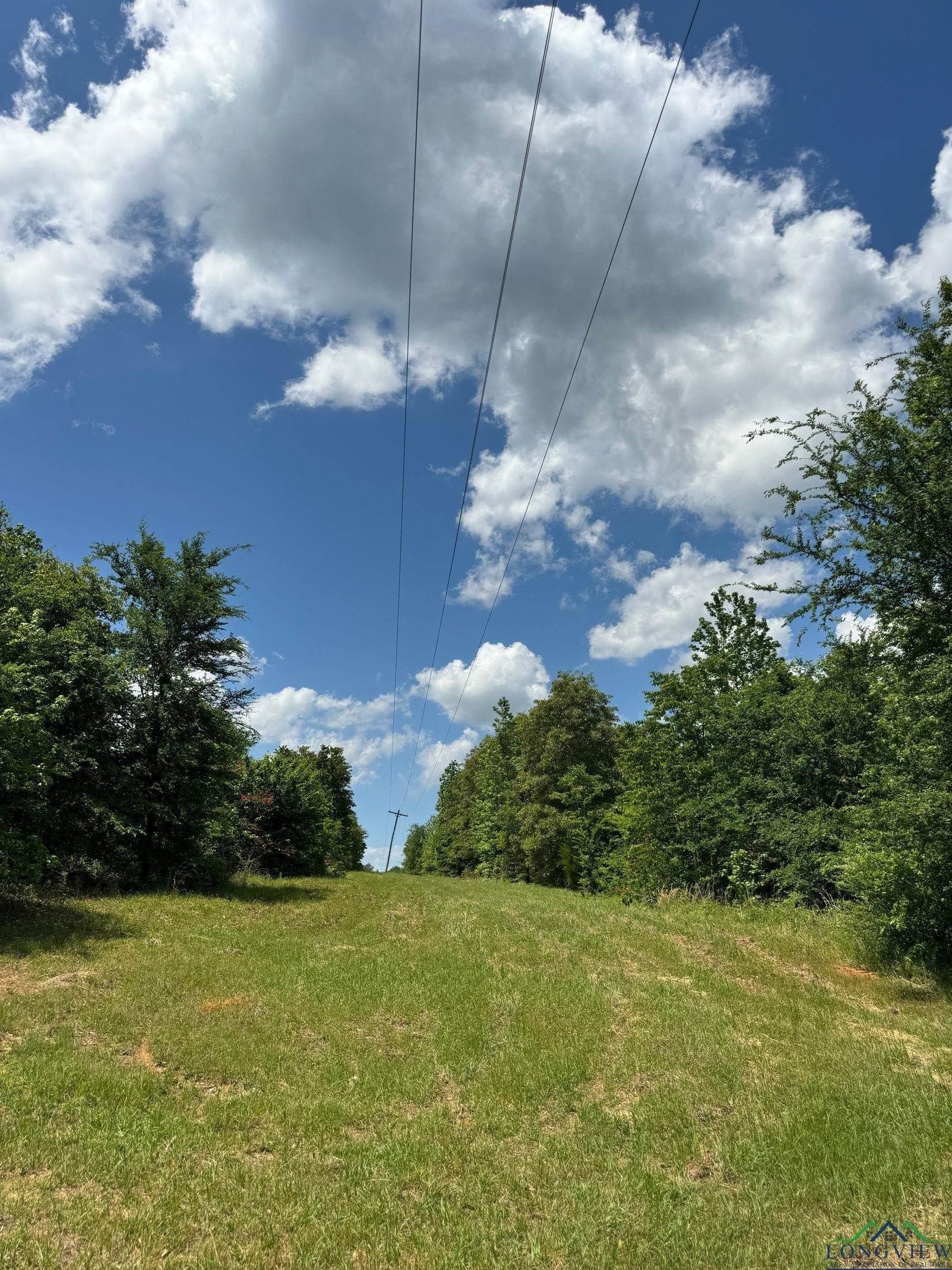 8.24 acres in Cass County - photo 5