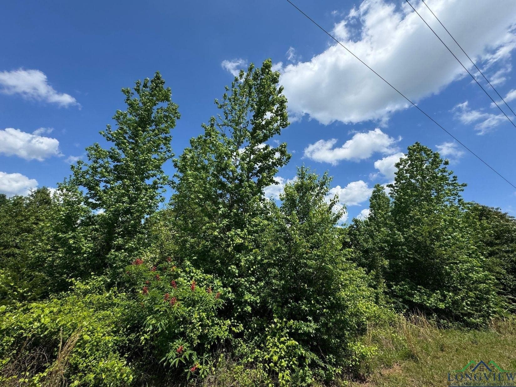 8.24 acres in Cass County - photo 13