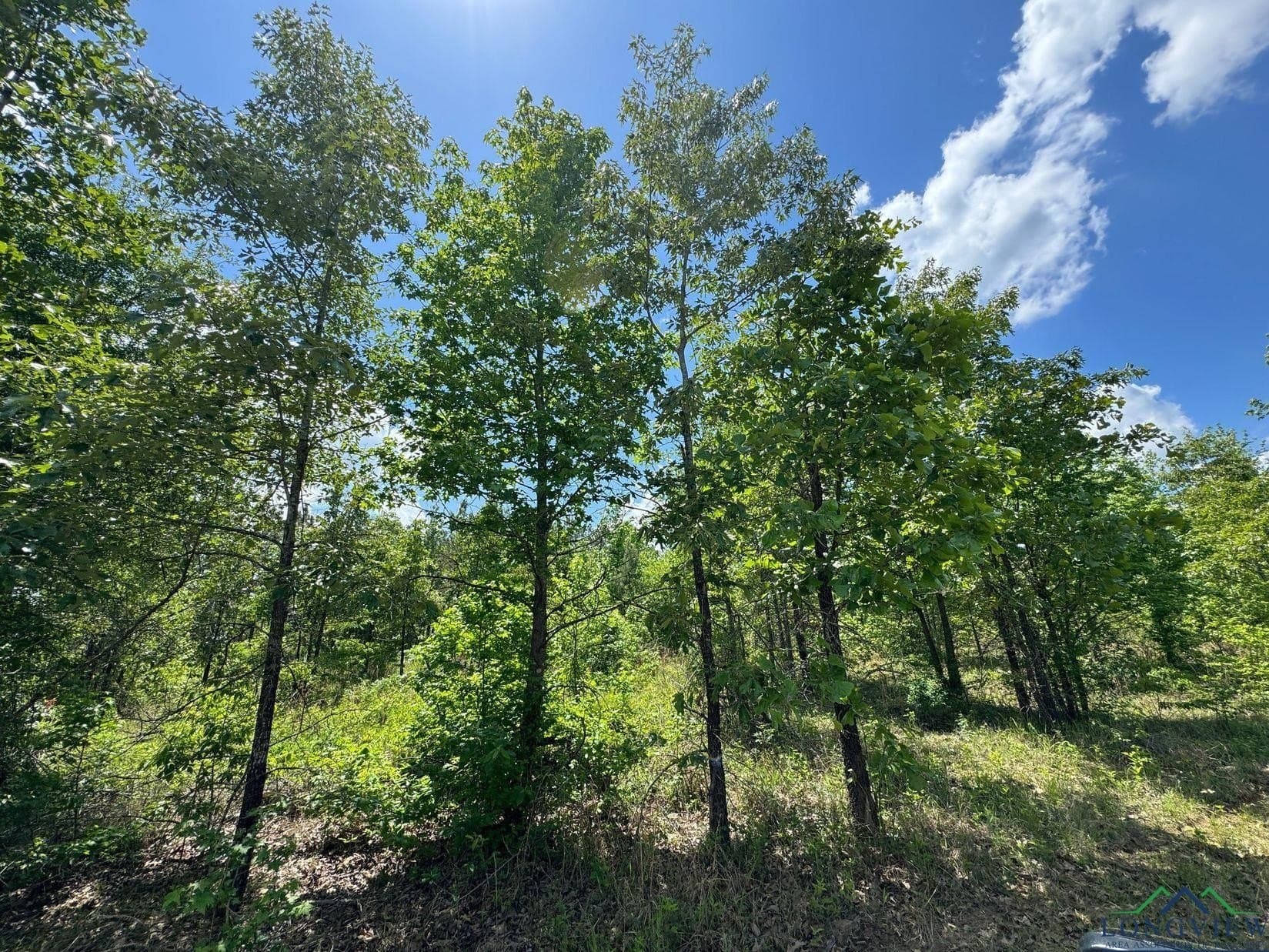 8.24 acres in Cass County - photo 14