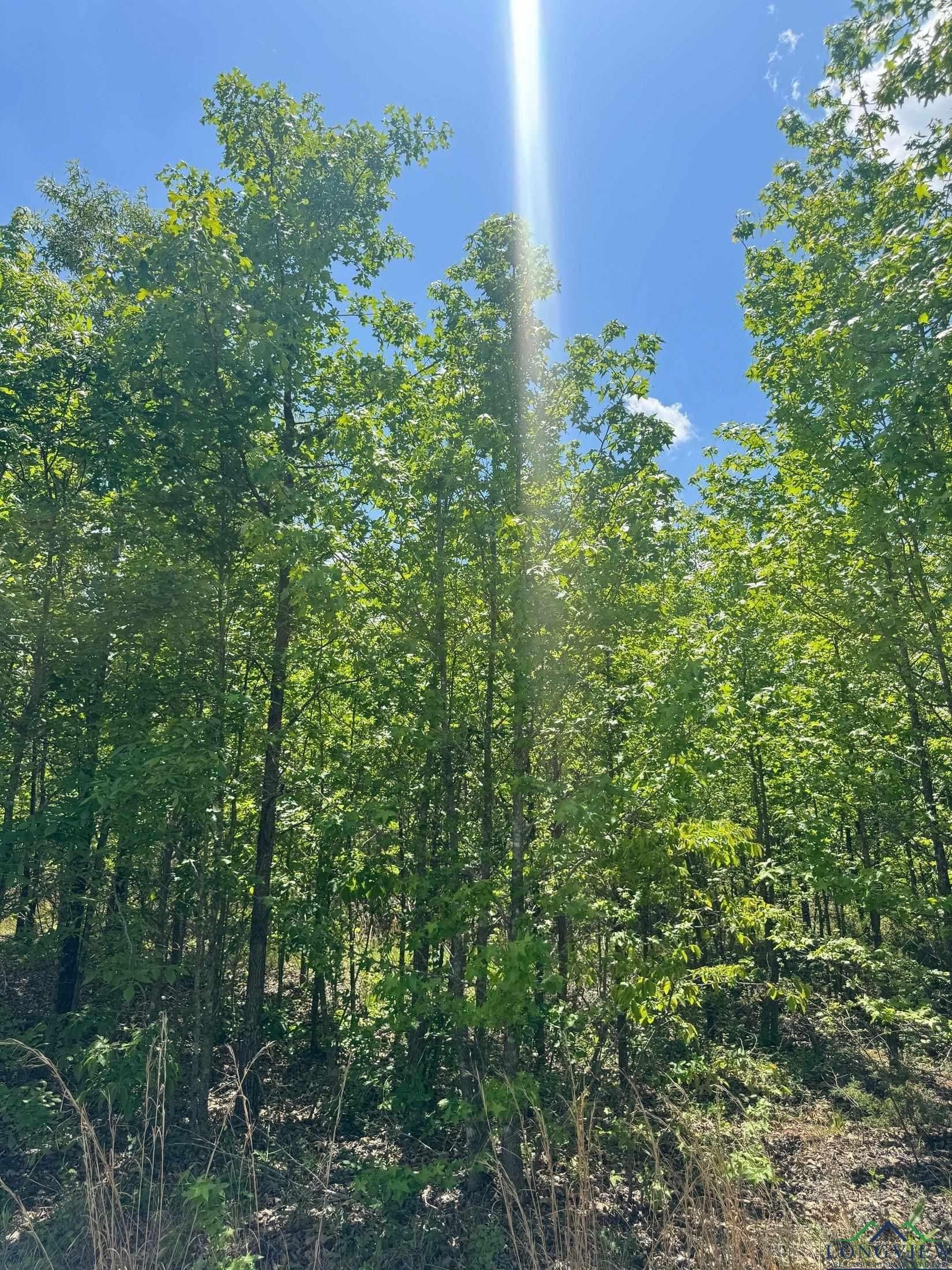 8.24 acres in Cass County - photo 10