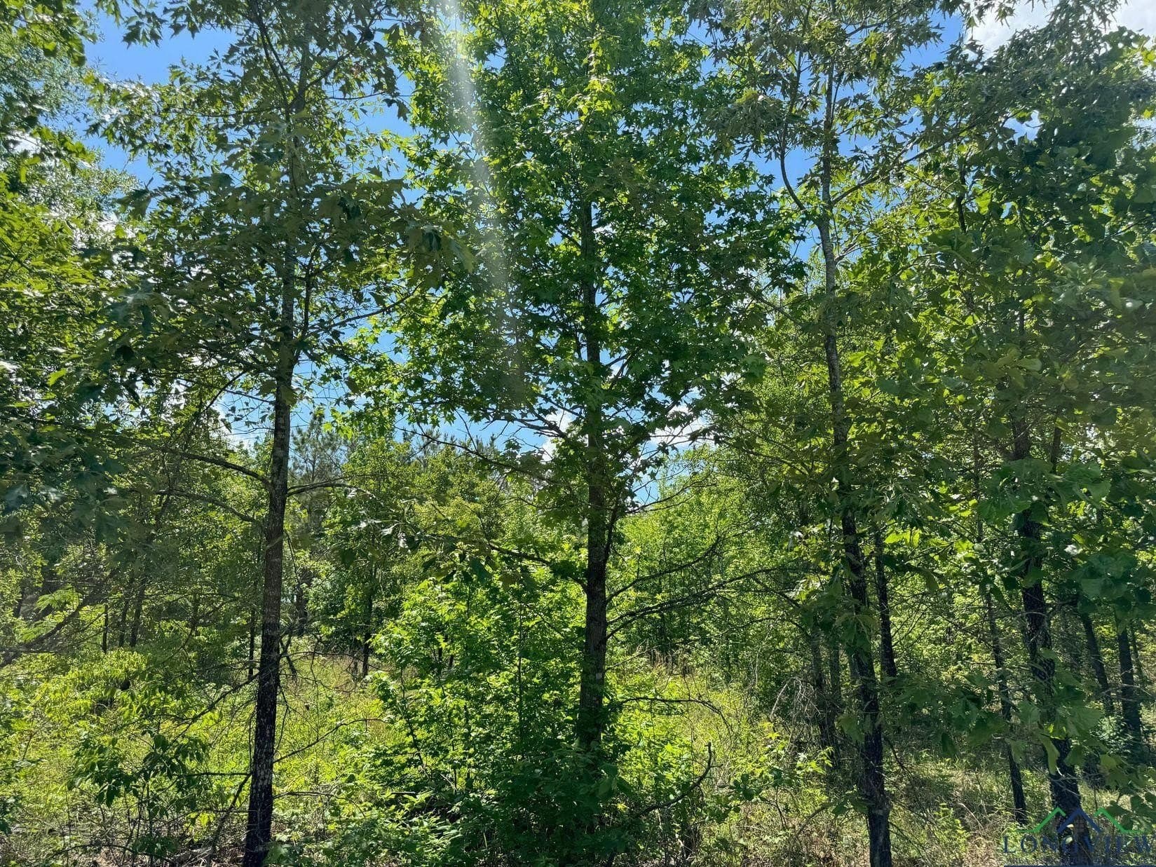 8.24 acres in Cass County - photo 11