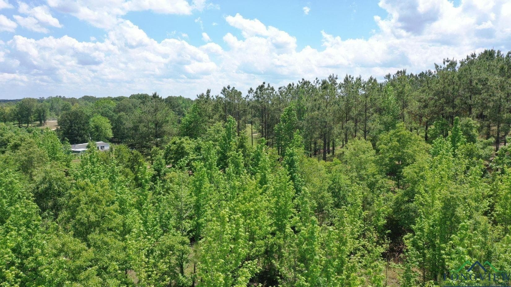 8.24 acres in Cass County - photo 3