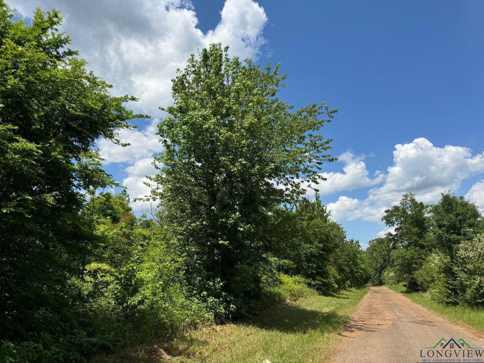 8.24 acres in Cass County - photo 19