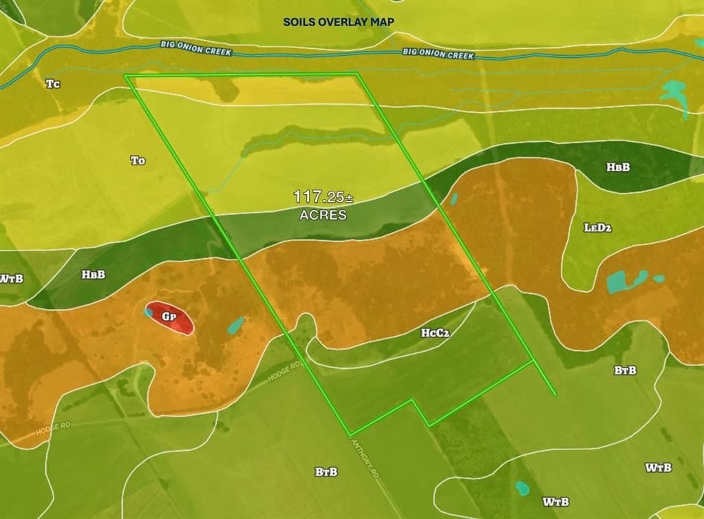 117.25 acres in Ellis County - photo 16