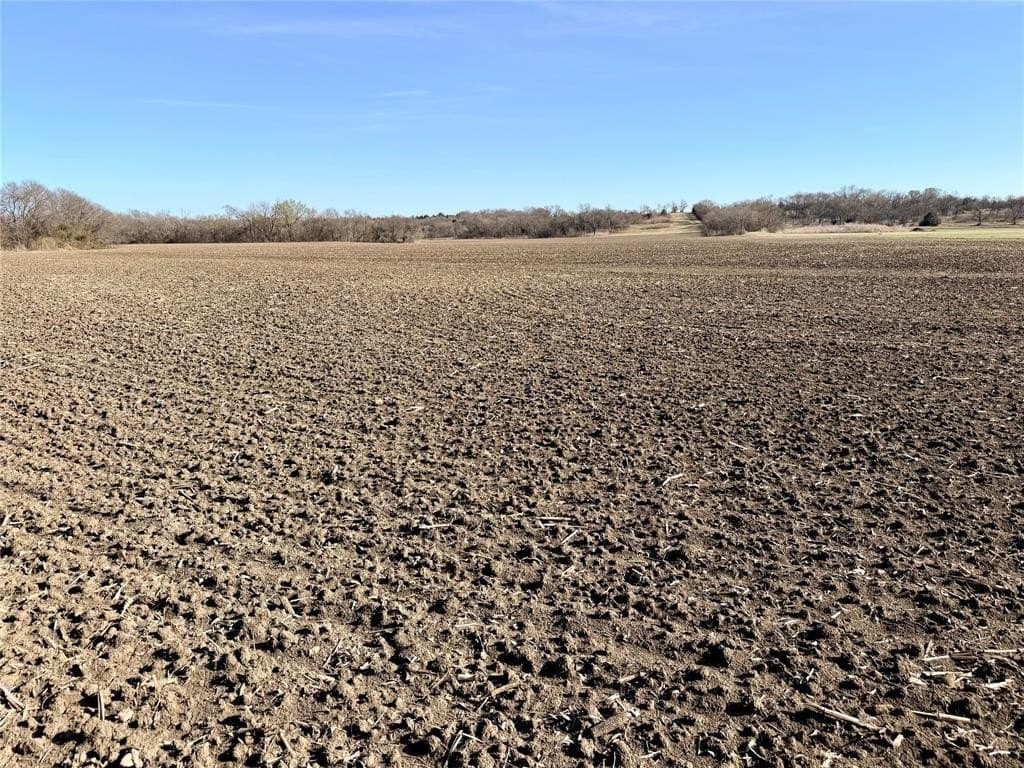 117.25 acres in Ellis County - photo 9