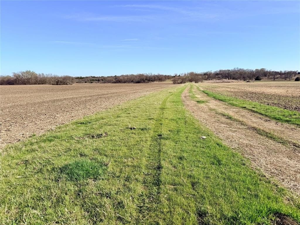 117.25 acres in Ellis County - photo 8