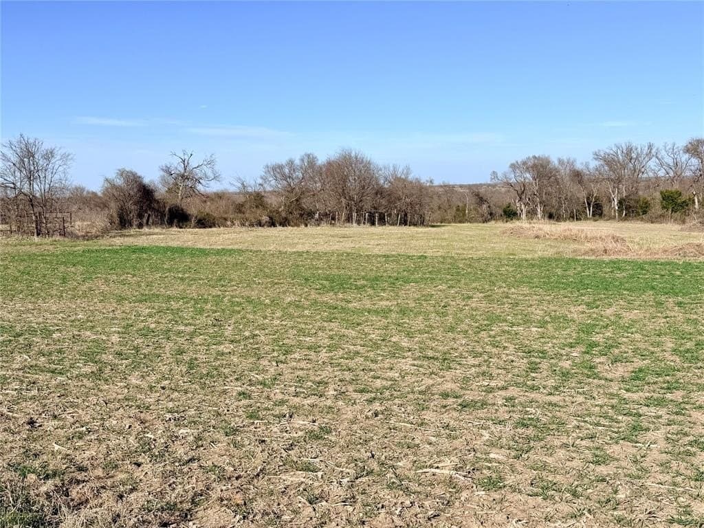 117.25 acres in Ellis County - photo 13