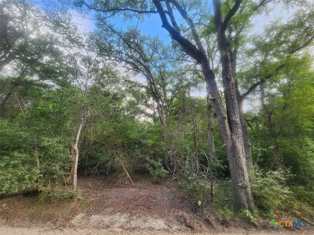 1.34 acres in Bastrop County - photo 2