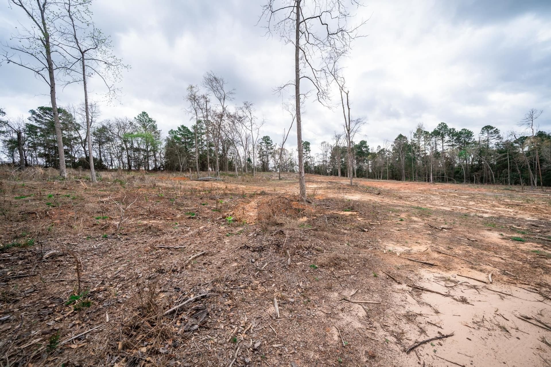 5 acres in Upshur County - photo 4