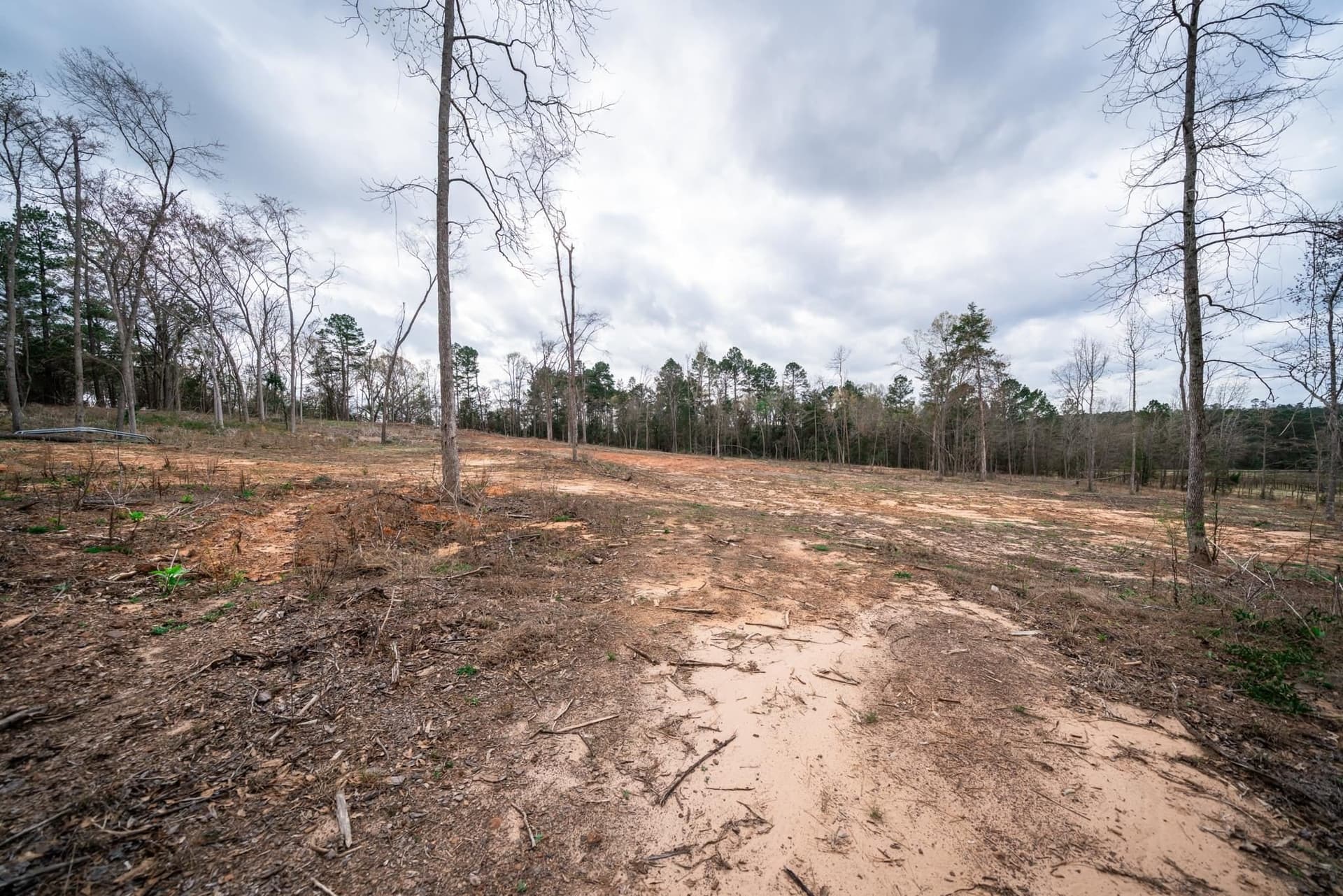 5 acres in Upshur County - photo 5
