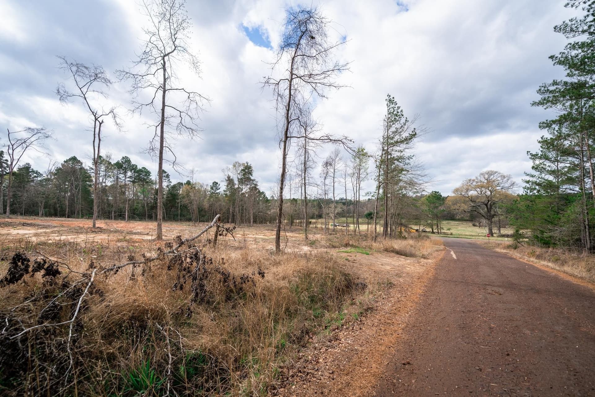 5 acres in Upshur County - photo 7