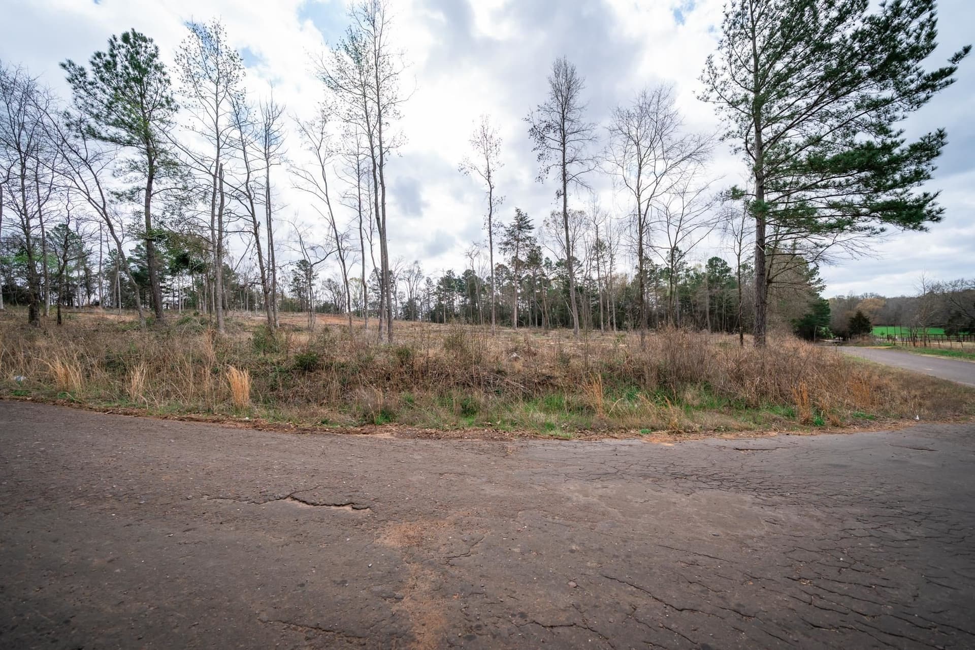 5 acres in Upshur County - photo 9