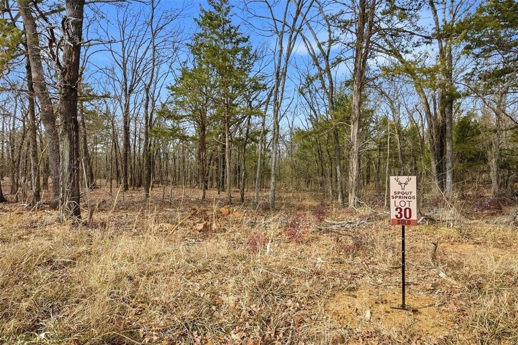 1.3 acres in Grayson County - photo 3