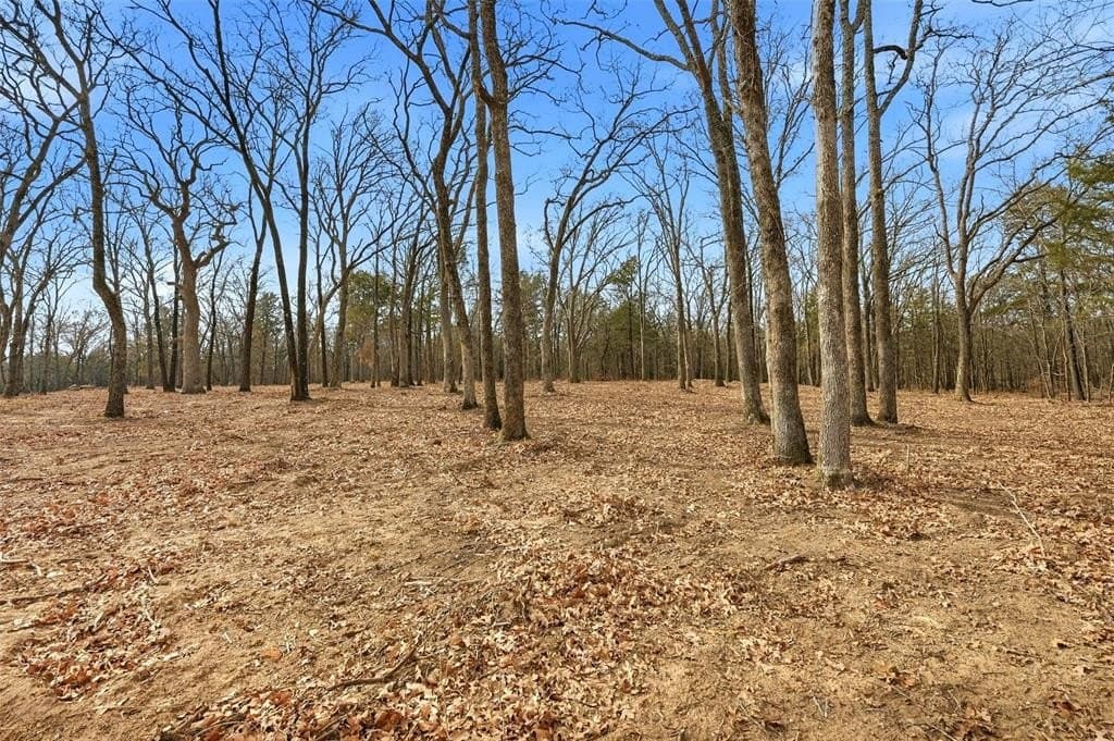 1.3 acres in Grayson County - photo 16