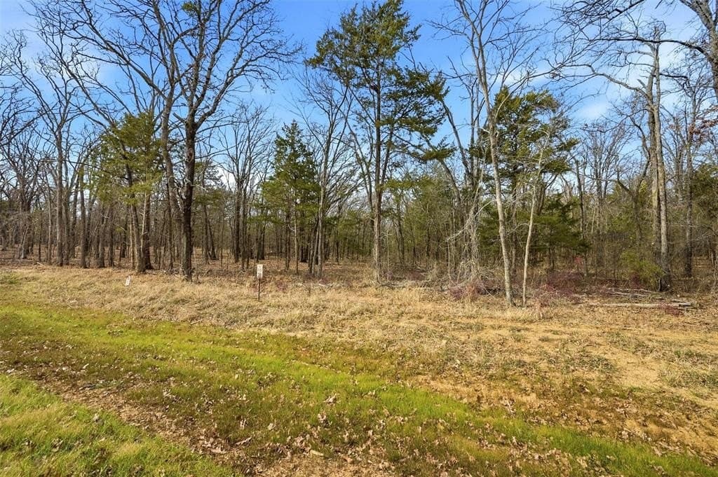 1.3 acres in Grayson County - photo 2