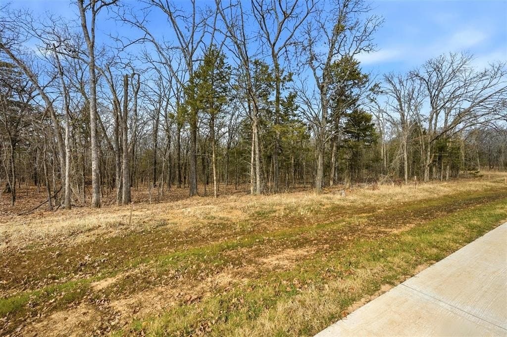 1.3 acres in Grayson County - photo 4