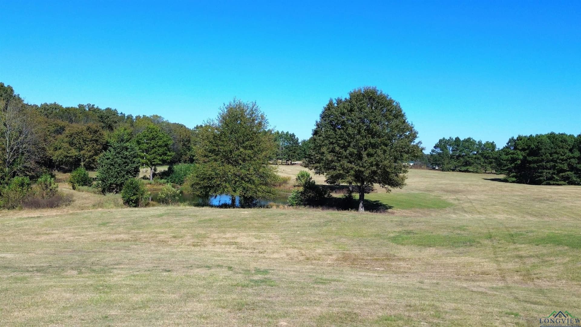 3.68 acres in Titus County - photo 2