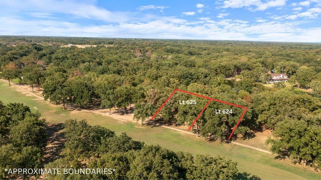 0.26 acres in Henderson County - photo 4