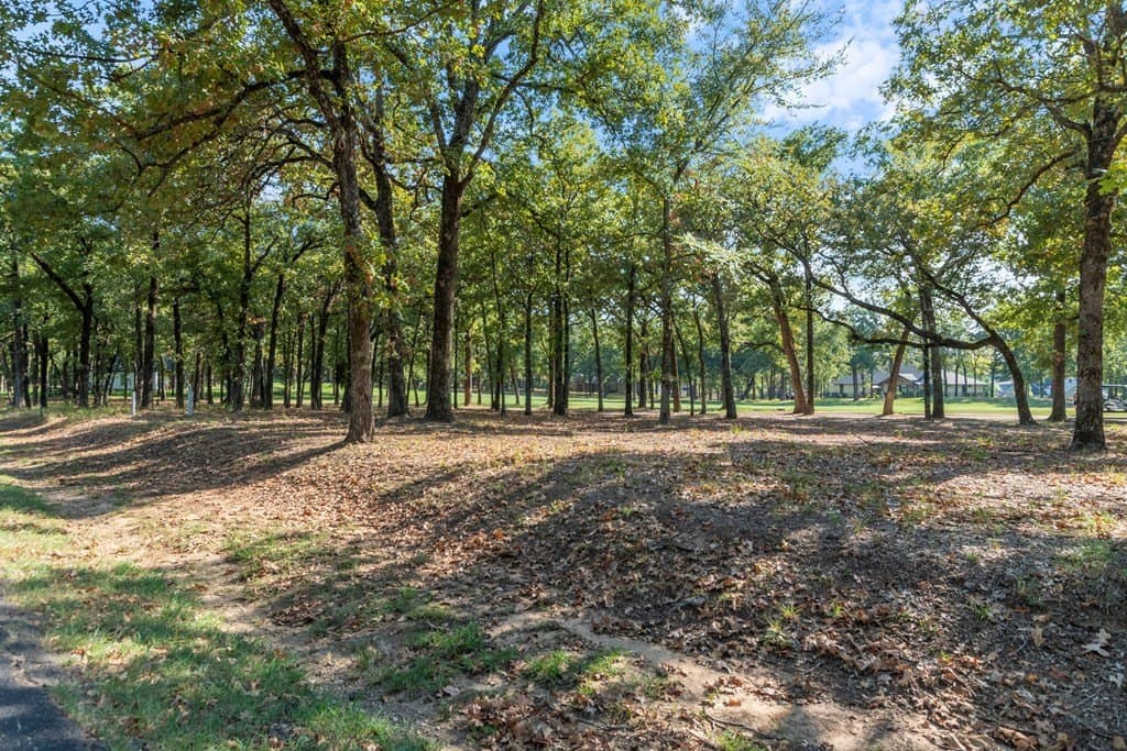 0.26 acres in Henderson County - photo 3