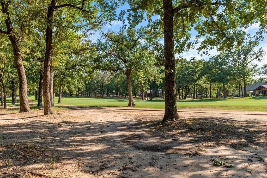 0.26 acres in Henderson County - photo 2