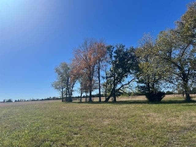10.19 acres in Lamar County - photo 10