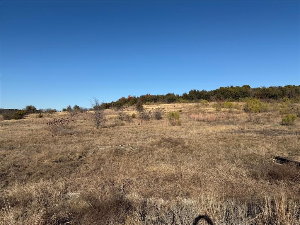 2.48 acres in Palo Pinto County - photo 2