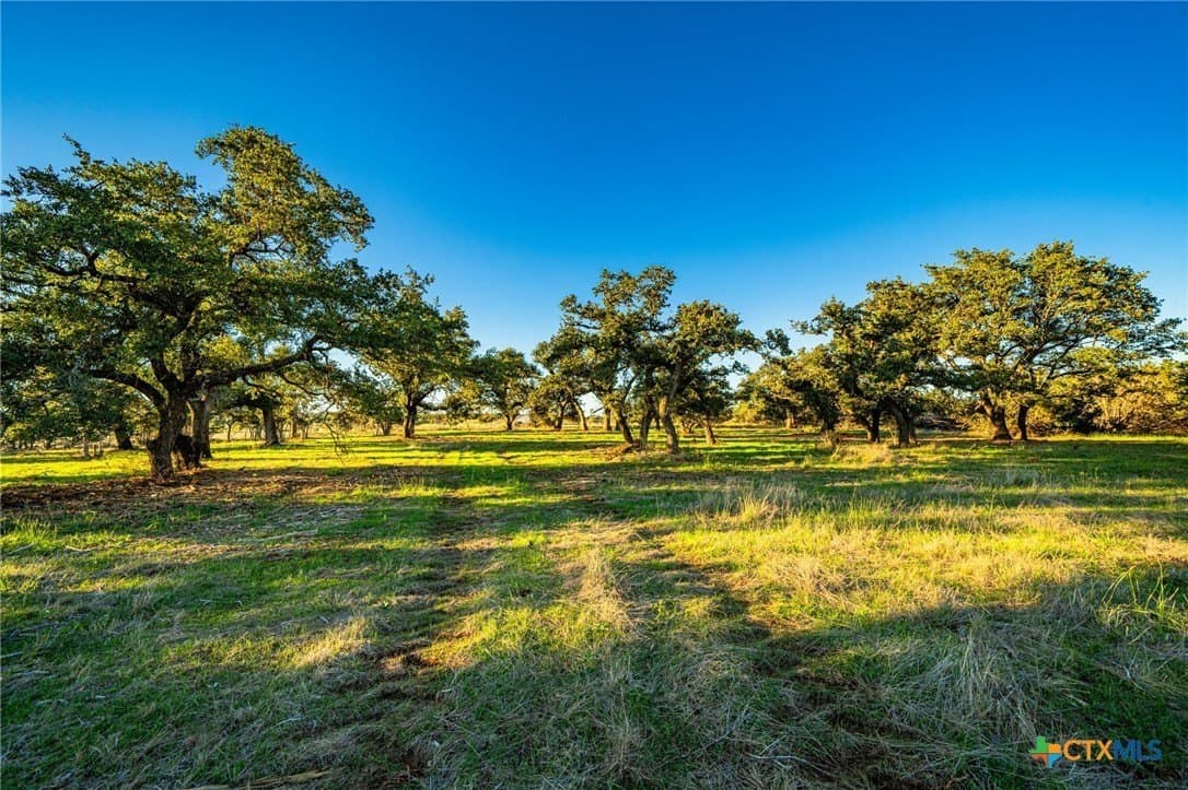 64.5 acres in Bell County - photo 16