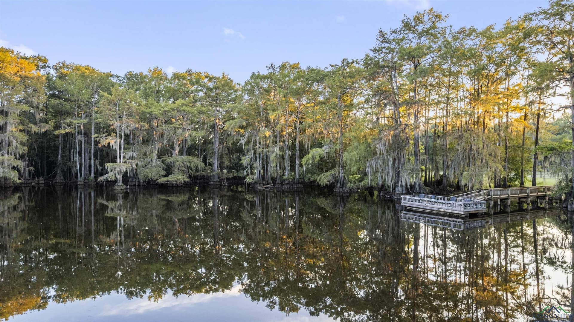 32 acres in Marion County - photo 2