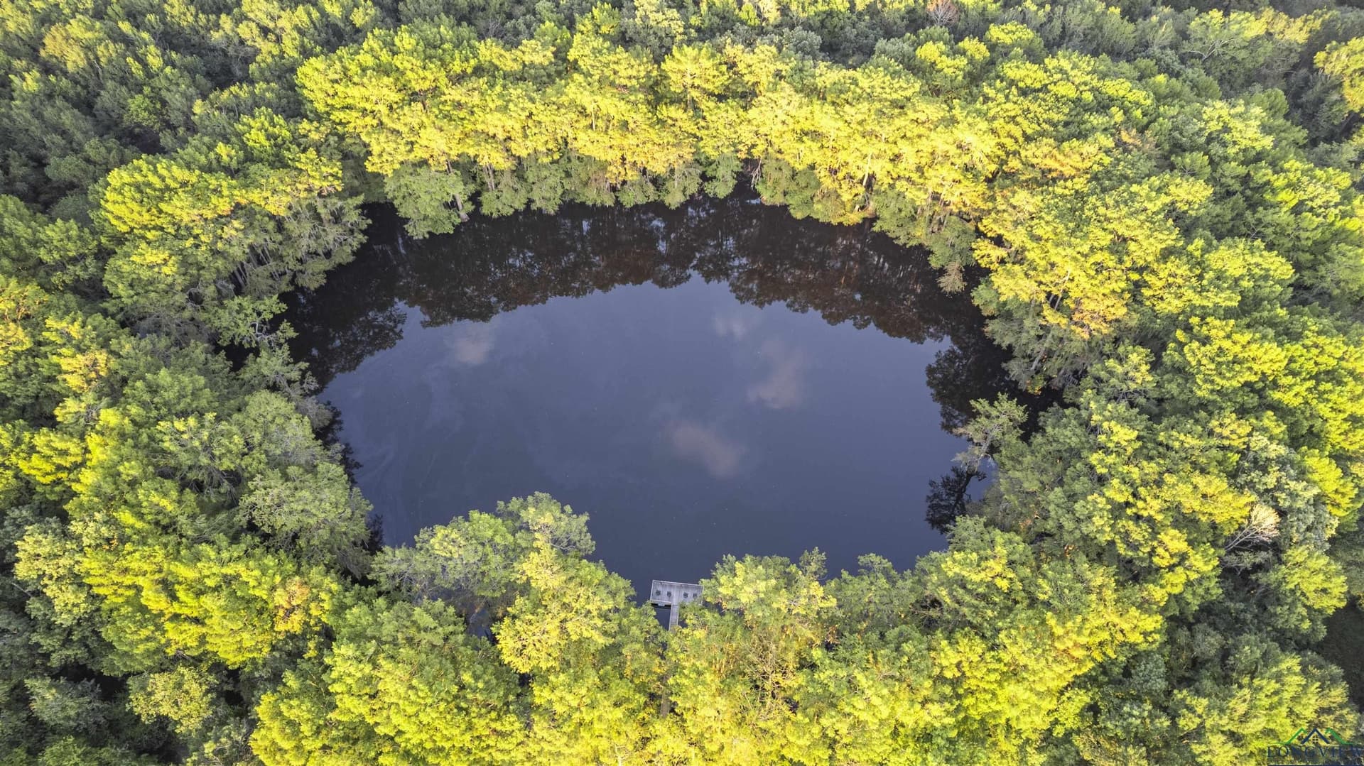 32 acres in Marion County - photo 43