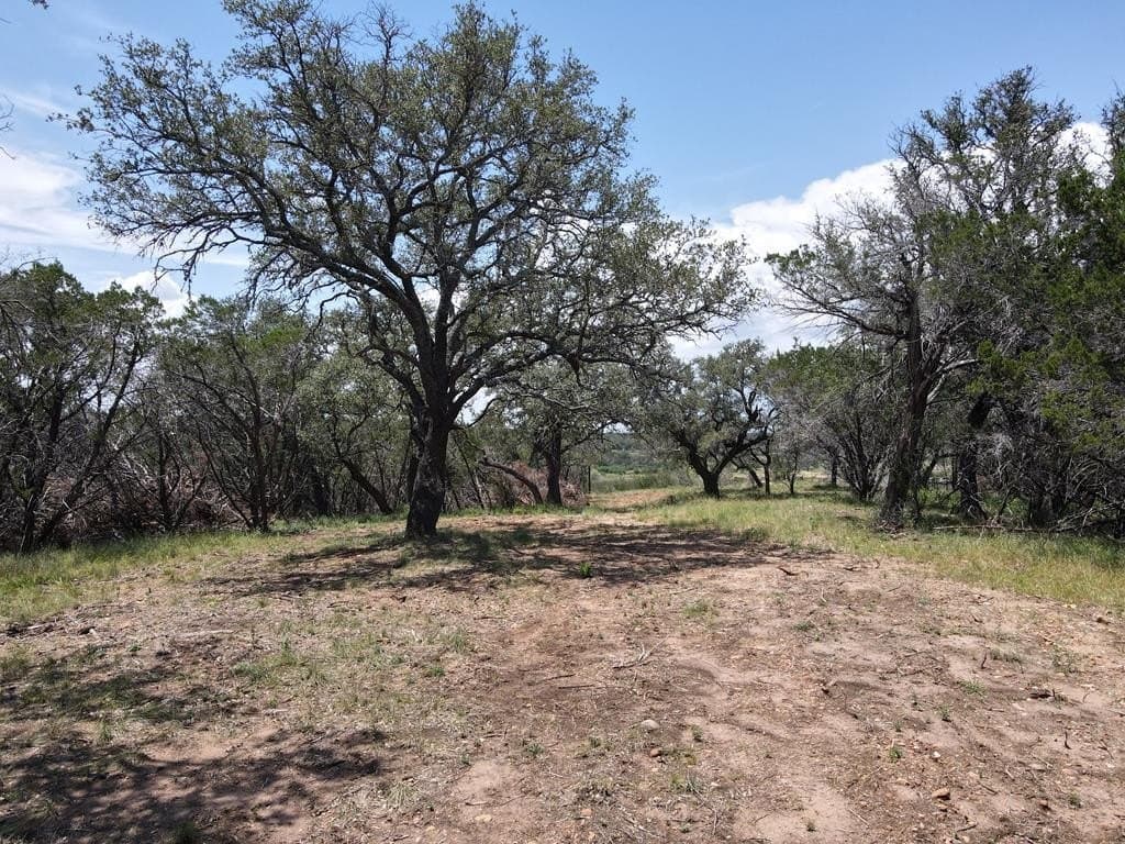 5 acres in Burnet County - photo 10