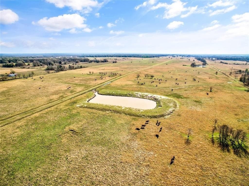 200.7 acres in Navarro County - photo 5