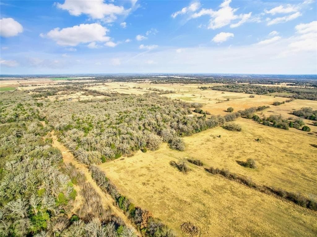 200.7 acres in Navarro County - photo 6