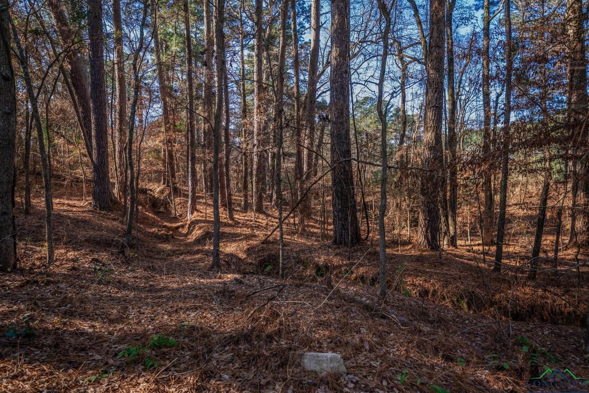 14.24 acres in Smith County - photo 7