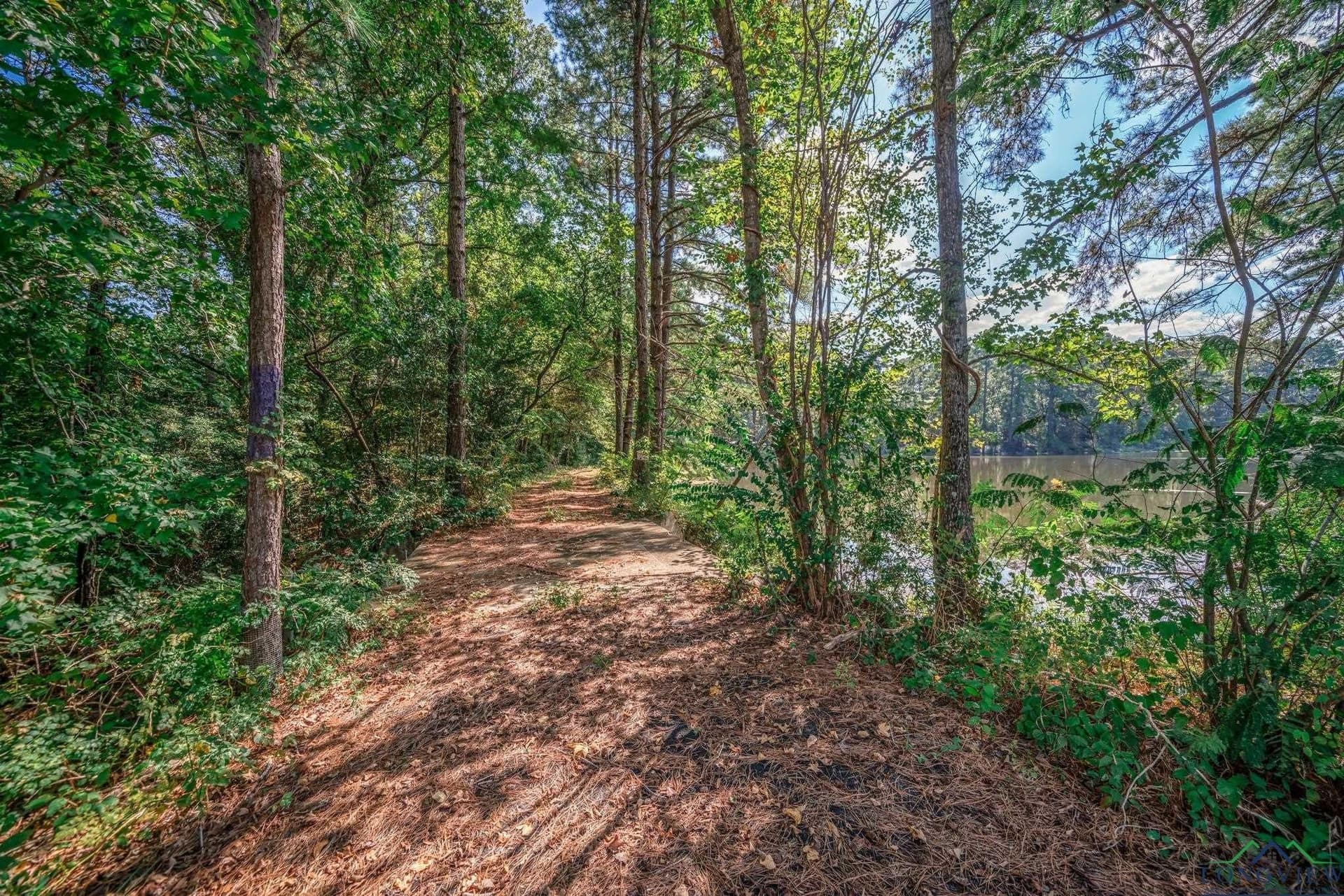 14.24 acres in Smith County - photo 13