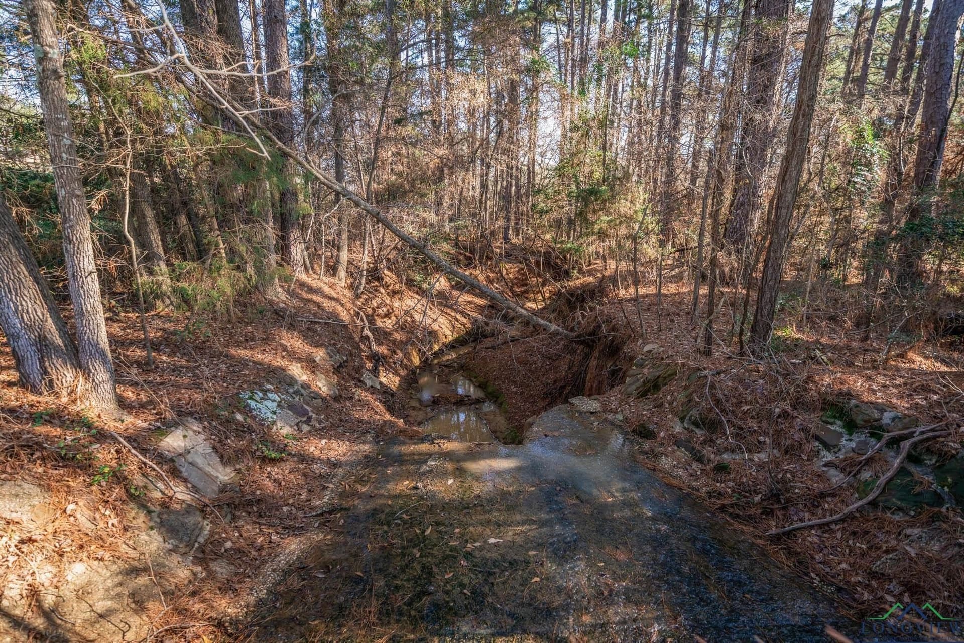 14.24 acres in Smith County - photo 9