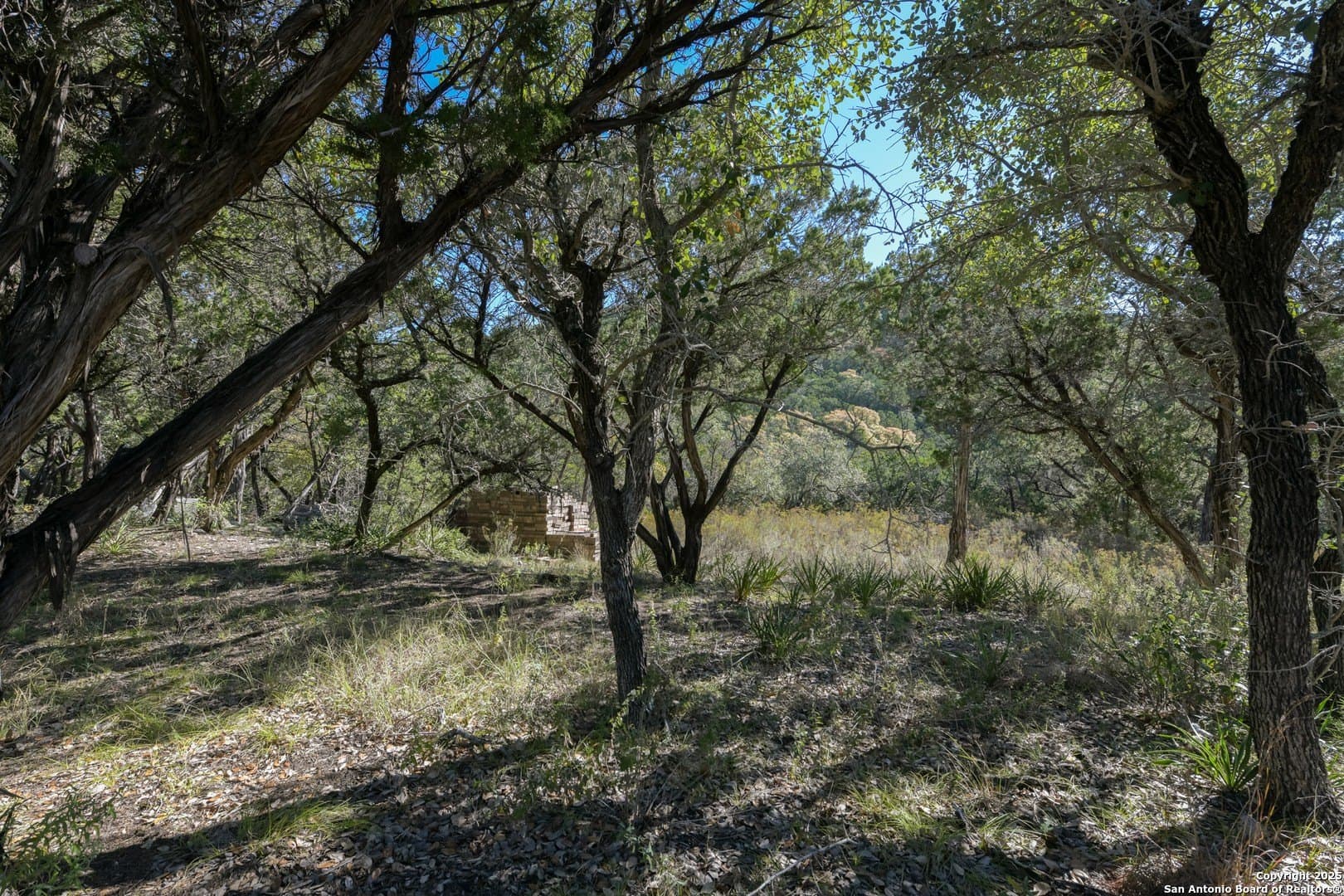 2.36 acres in Medina County - photo 4