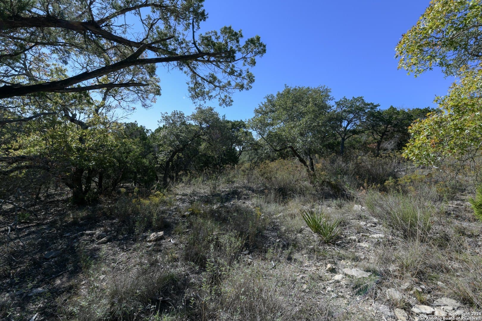 2.36 acres in Medina County - photo 7
