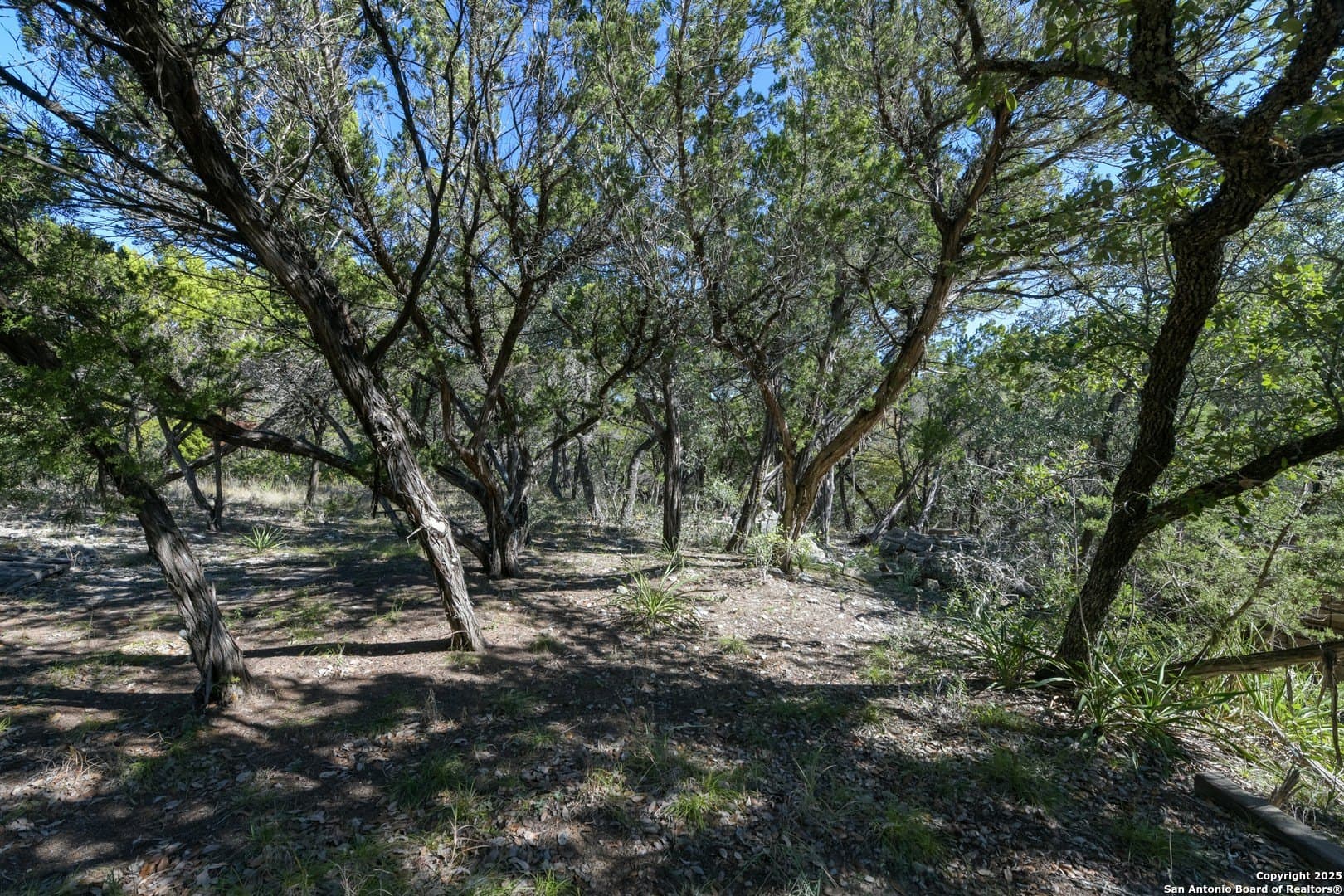 2.36 acres in Medina County - photo 5