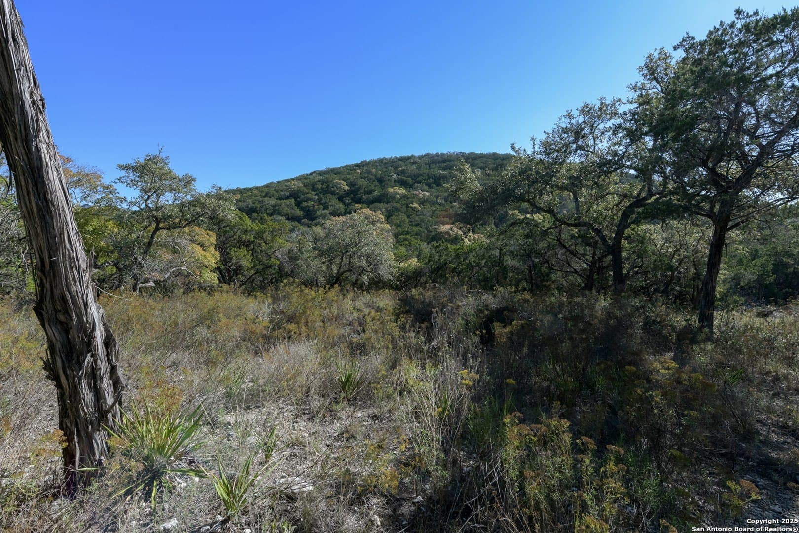 2.36 acres in Medina County - photo 3