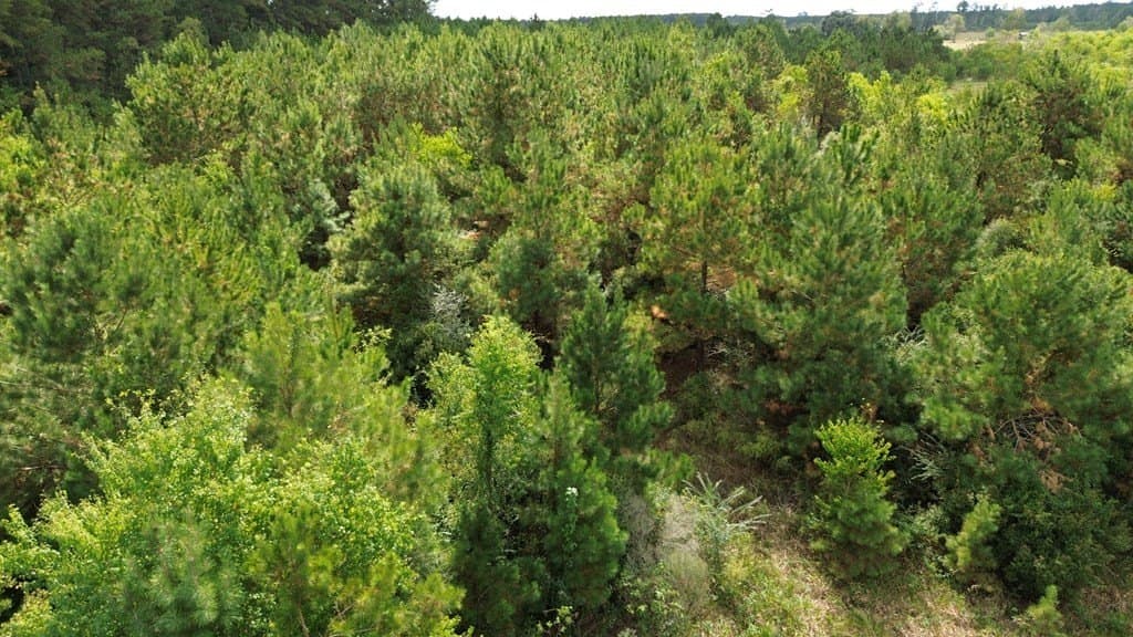 14 acres in Texas County - photo 25