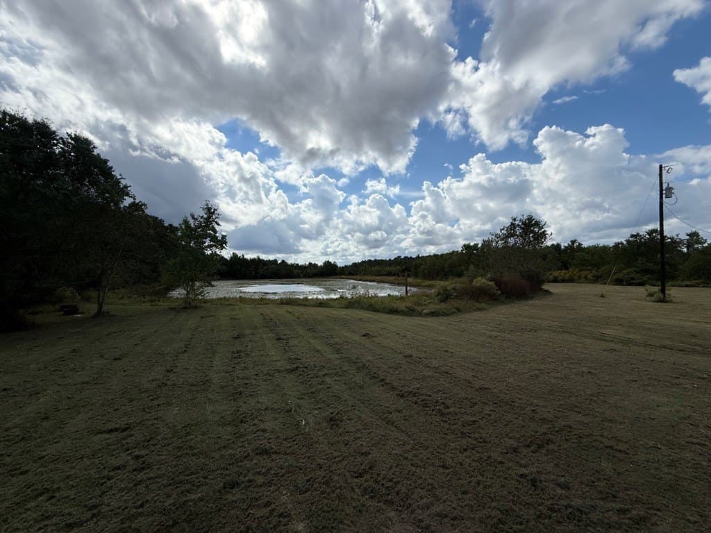 14 acres in Texas County - photo 3