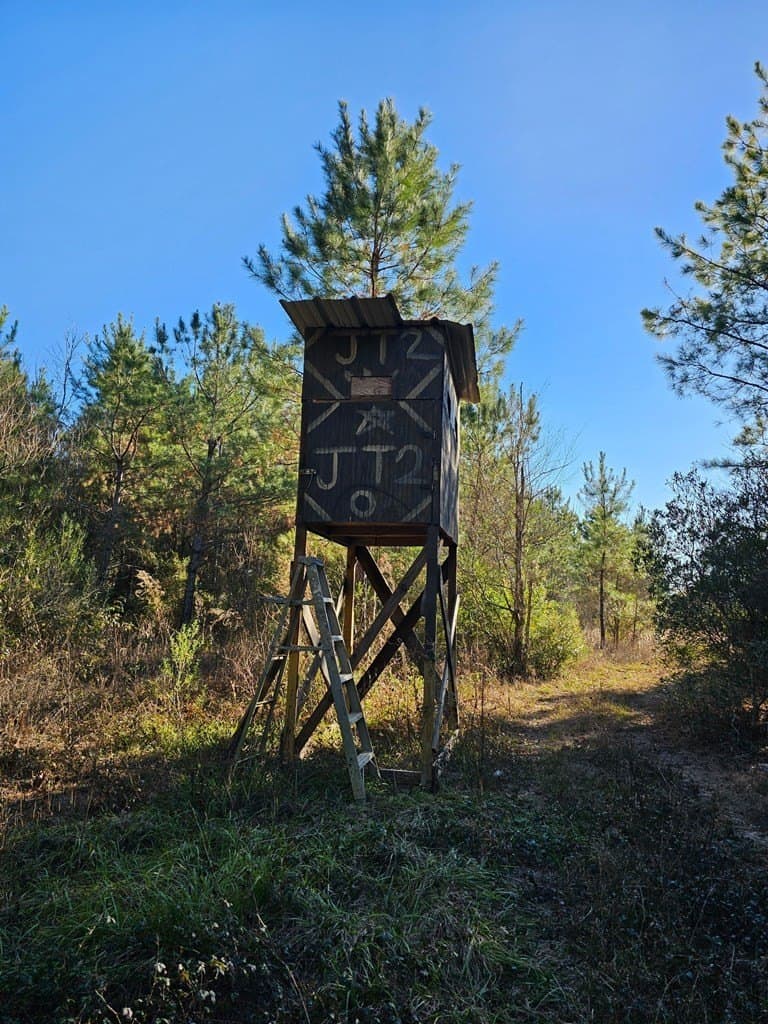 14 acres in Texas County - photo 35