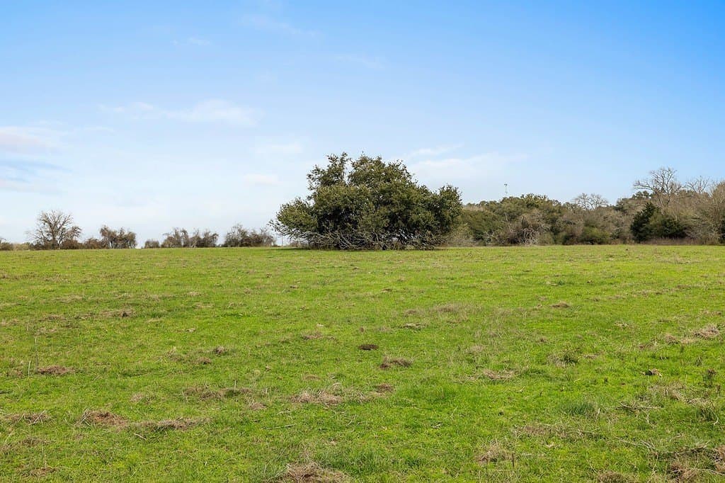 35 acres in Colorado County - photo 4