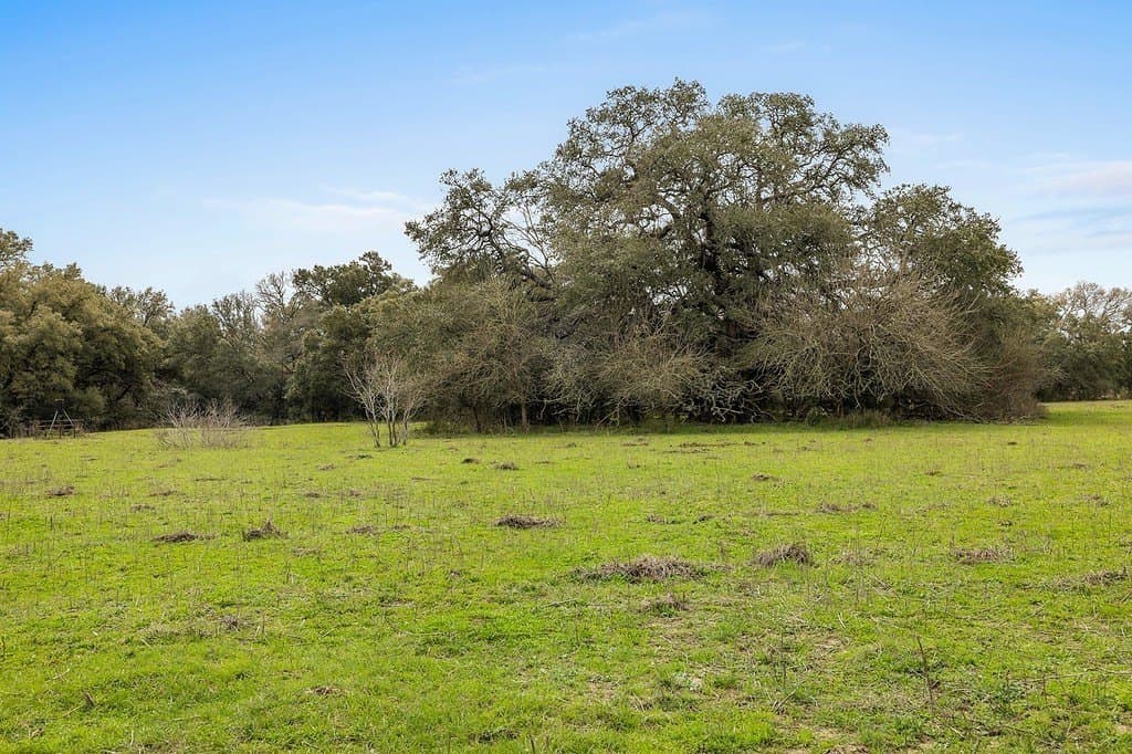 35 acres in Colorado County - photo 5