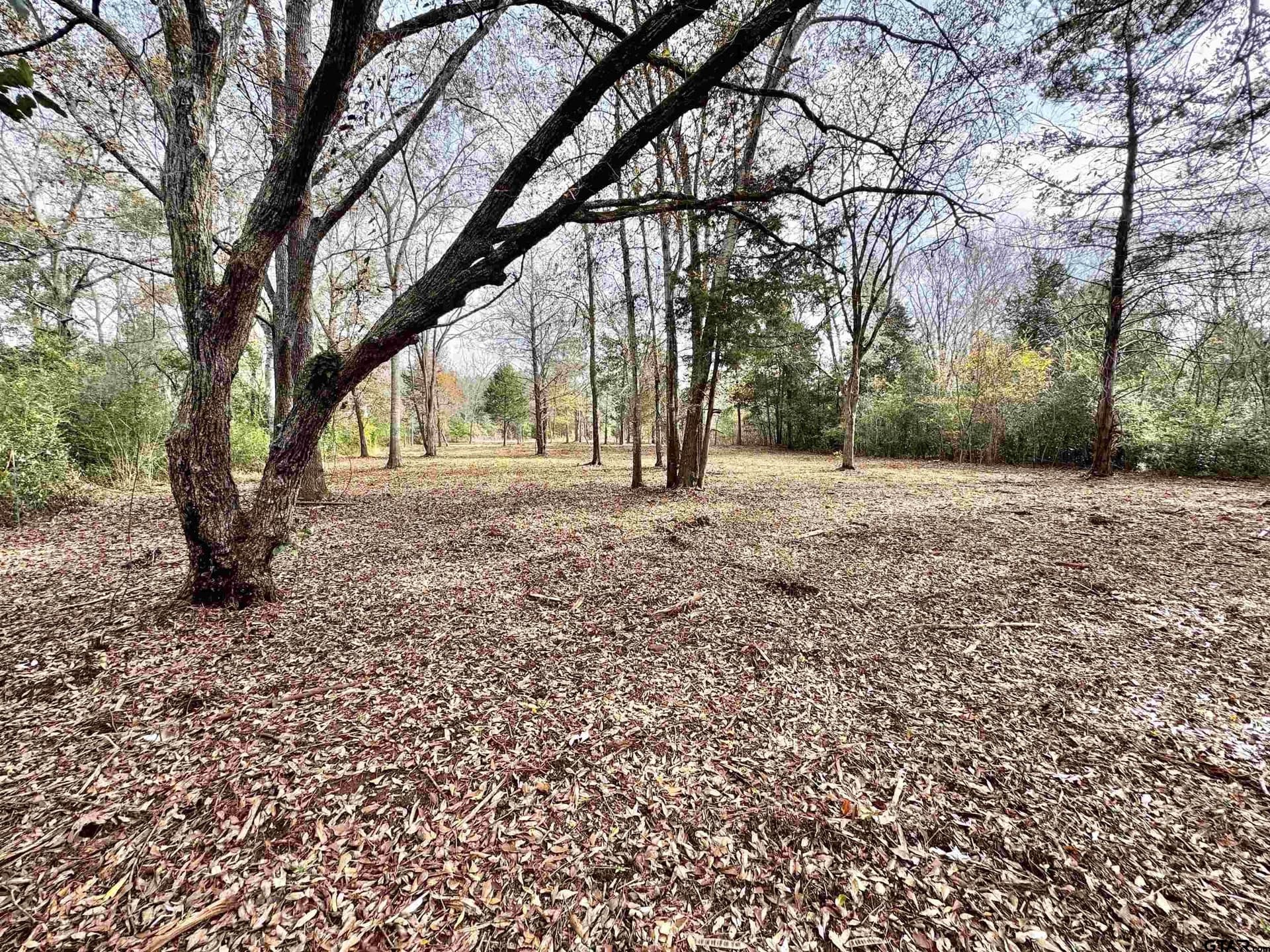 0.57 acres in Cherokee County - photo 2