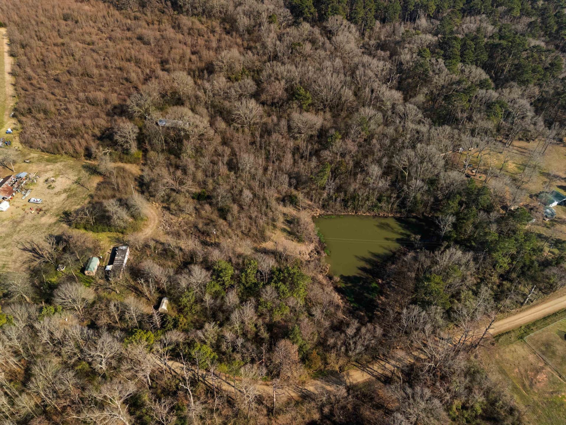 24 acres in Shelby County - photo 27