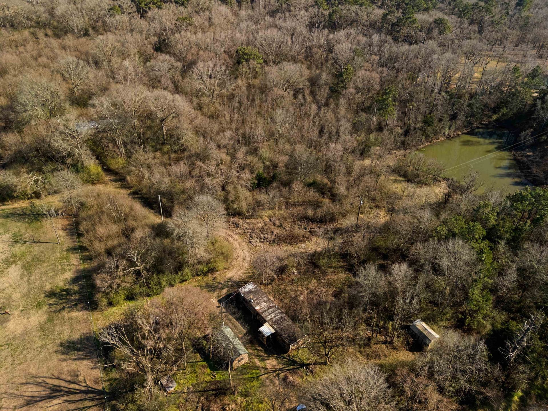 24 acres in Shelby County - photo 23