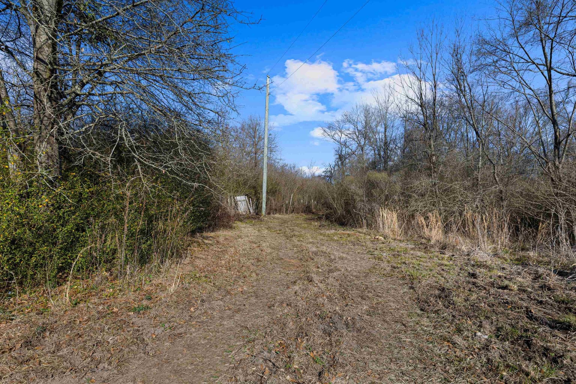 24 acres in Shelby County - photo 12