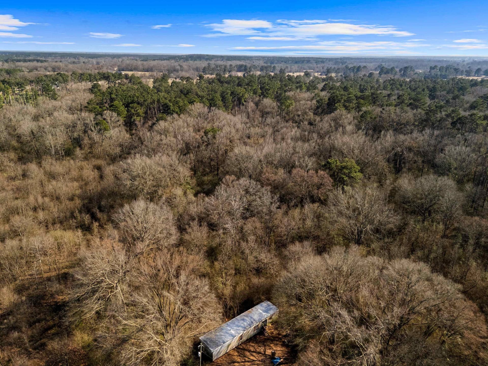 24 acres in Shelby County - photo 17